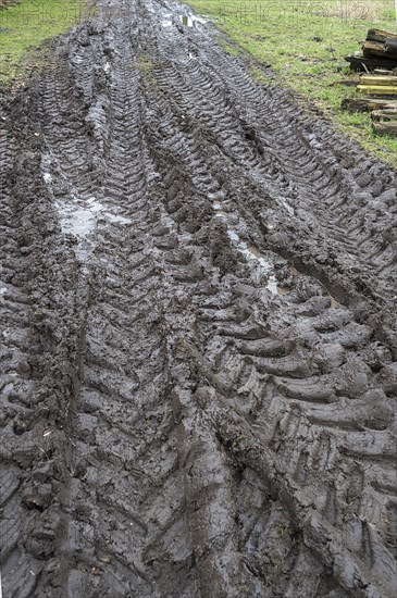 Tractor tyre tracks in softened soil on a farm, Mecklenburg-Vorpommern, Germany, Europe