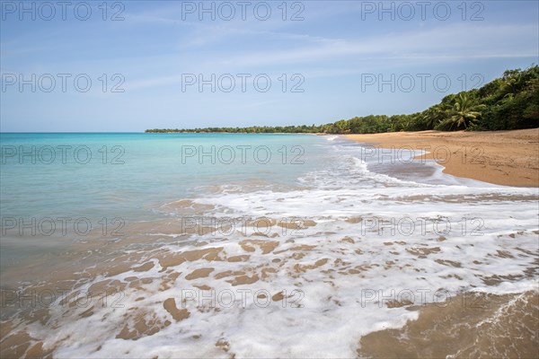 Lonely, wide sandy beach with turquoise-coloured sea. Tropical plants in a bay in the Caribbean