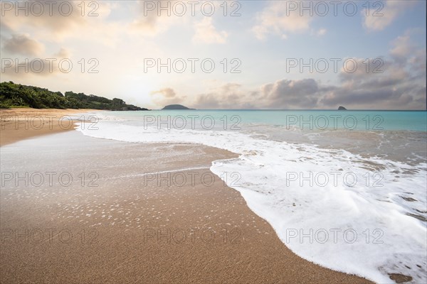 Lonely, wide sandy beach with turquoise-coloured sea. Tropical plants in a bay at sunset in the