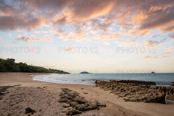 Lonely, wide sandy beach with turquoise-coloured sea. Tropical plants in a bay at sunset in the