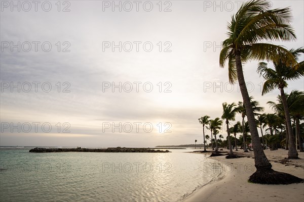 Caribbean dream beach with palm trees, white sandy beach and turquoise-coloured, crystal-clear