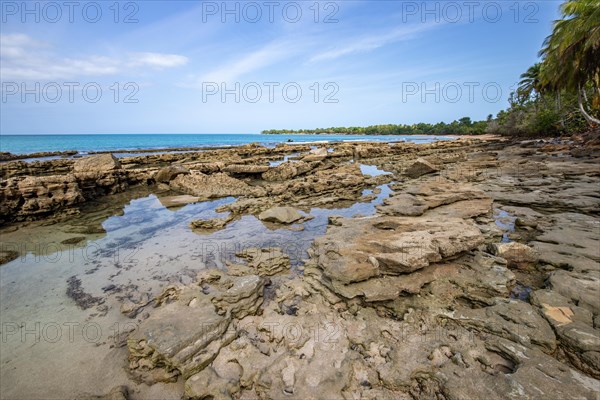 Lonely, wide sandy beach with turquoise-coloured sea. Tropical plants in a bay in the Caribbean