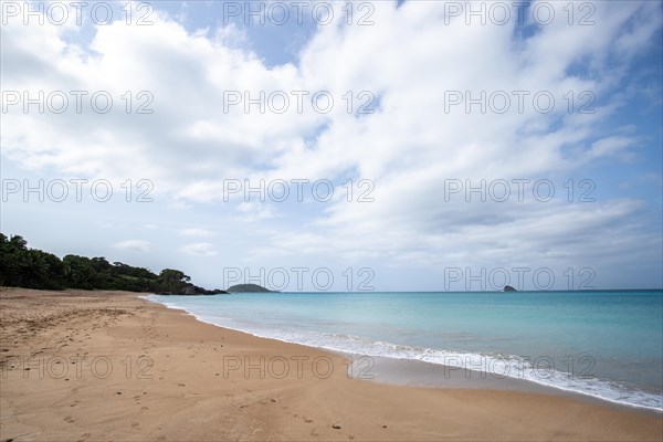 Lonely, wide sandy beach with turquoise-coloured sea. Tropical plants in a bay in the Caribbean