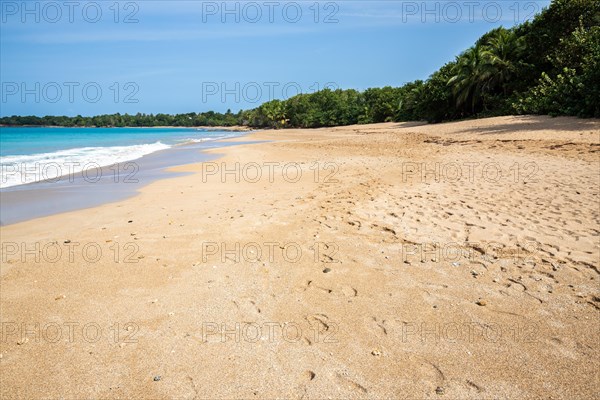 Lonely, wide sandy beach with turquoise-coloured sea. Tropical plants in a bay in the Caribbean