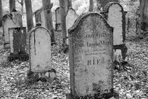 Jewish cemetery, weathered gravestones, black and white, wine village Beilstein, Moselle,