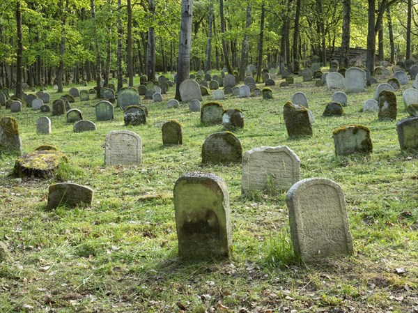 Old Jewish cemetery on the Judenhuegel near Kleinbardorf, municipality of Sulzfeld, Hassberge,