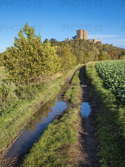 Landscape with field path in autumn, behind the ruins of Arnstein Castle, Sylda-Harkerode,