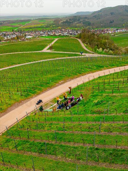 People walking on a path that winds through a vineyard, Jesus Grace Chruch, Weitblickweg, Easter