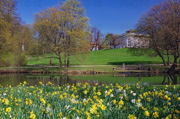 Blooming tulips in front of the Oker and Richmond Castle, Spring, Braunschweig, Lower Saxony,