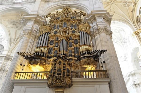 Organ, Cathedral of Santa Maria de la Encarnacion, Cathedral of Granada, Baroque organ in a church