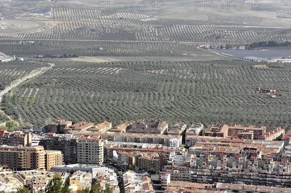 View from Castillo de Santa Catalina, modern new buildings, partial view of Jaen, Andalusia,