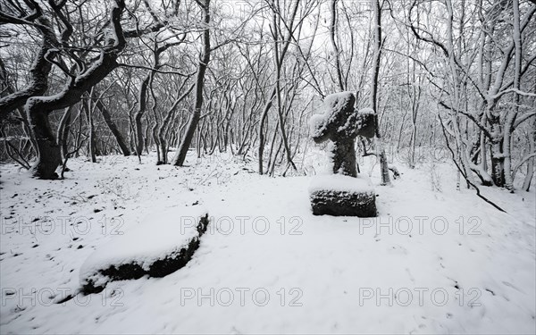 Medieval stone cross in a snow-covered forest in winter, murder cross, atonement cross, Freyburg