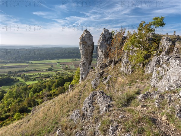 Wiesenthauer Nadel rock formation on the Ehrenbuerg witness mountain, also known as Walberla,