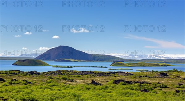 View over the shallow lake Myvatn in summer, Norourland eystra, Nordurland eystra in the north of