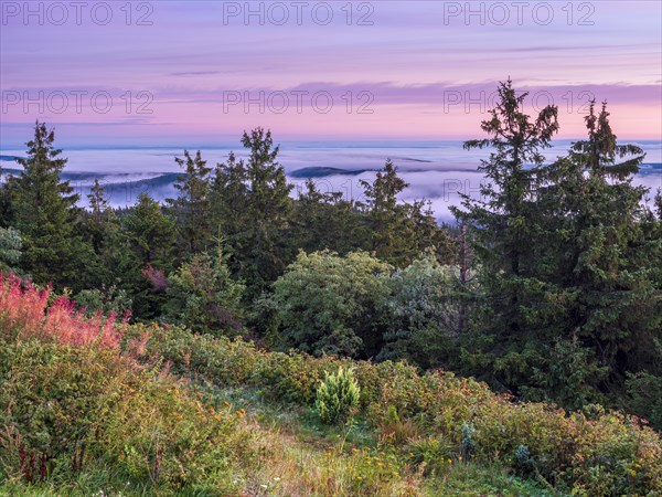 Morning atmosphere with dawn red and morning fog on the Schneekopf in the Thuringian Forest, view