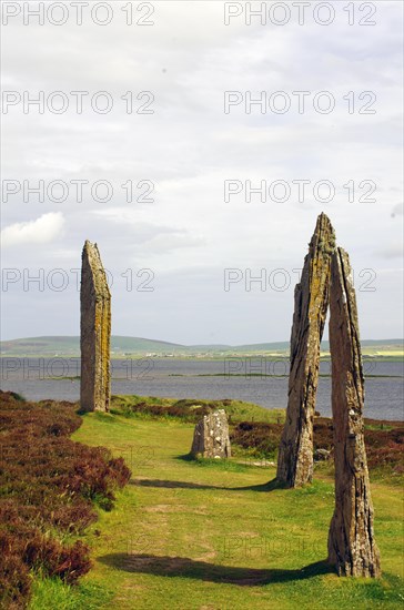 Standing stones from the Stone Age on a green meadow, Unesco World Heritage Site, Ring of Brodgar,