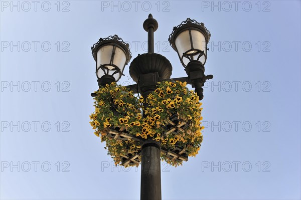 Granada, lamppost decorated with a wreath of yellow flowers against a blue sky, Granada, Andalusia,
