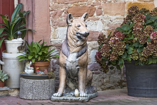 Decoration at entrance door, dog figure German Shepherd, guard dog, idyllic alley, old town,