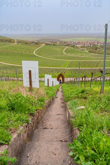 A path leads through vineyards with outdoor artworks and a view of a village in the valley, Jesus