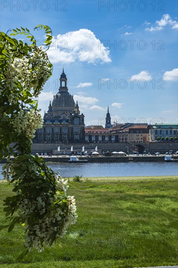 Church of Our Lady and Bruehl's Terrace seen from the opposite bank of the Elbe, Dresden, Saxony,