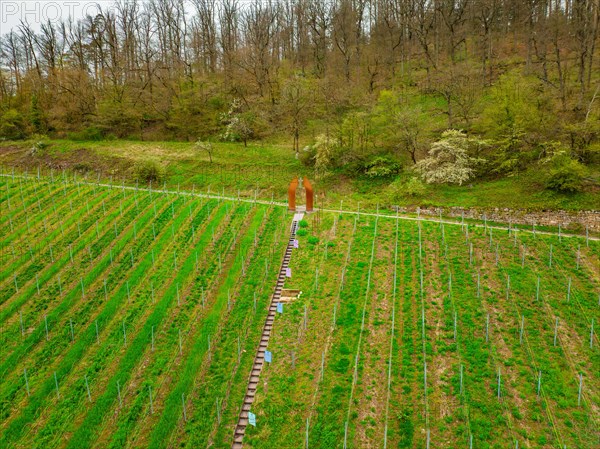 Visitors view art objects in a living green vineyard, Jesus Grace Chruch, Weitblickweg, Easter