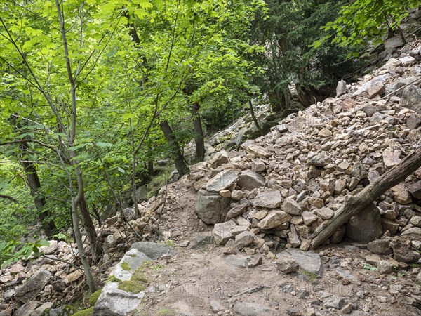 Landslide, mudflow, landslide, rockfall, buried hiking trail in the Bode Valley between Thale and