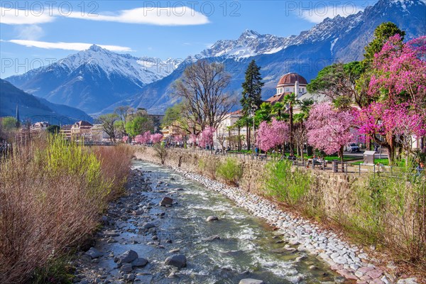 River Passer with blossoming trees on the spa promenade in spring in front of the Texel Group with