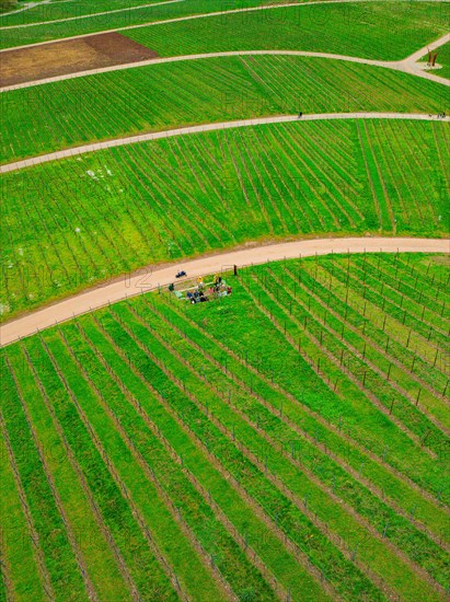 Aerial view of a winding country road meandering through green agricultural fields, Jesus Grace