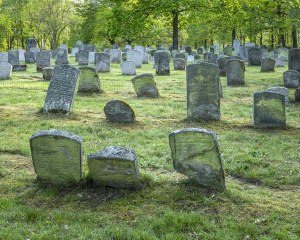 Old Jewish cemetery on the Judenhuegel near Kleinbardorf, municipality of Sulzfeld, Hassberge,