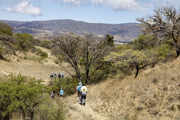 San Pablo Huitzo, Oaxaca, Mexico, Farmers are part of a cooperative that uses agroecological