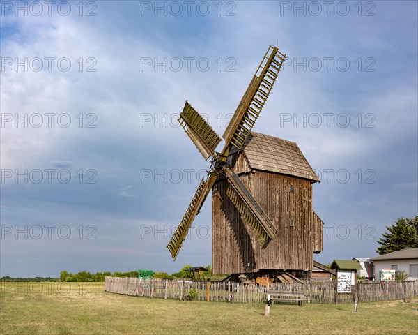 Zwochau mill, trestle windmill, Zwochau, Saxony, Germany, Europe