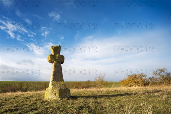 Medieval stone cross, murder cross, atonement cross, Freyburg (Unstrut), Saxony-Anhalt, Germany,