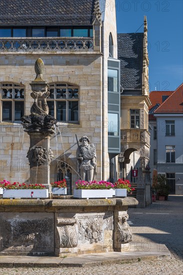 The wooden market fountain at the town hall with the Roland statue, Halberstadt, Saxony-Anhalt,