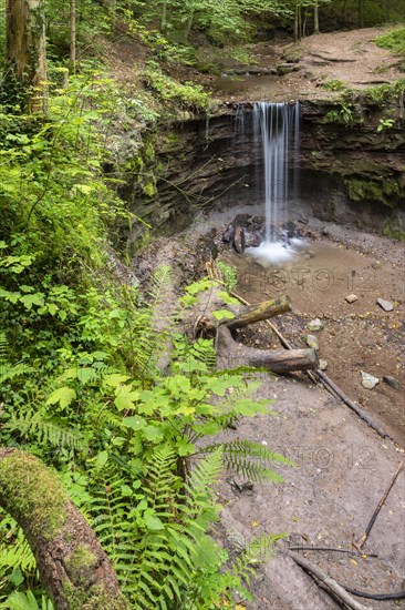 Small waterfall at Hoerschbach, Hoerschbach Valley, Swabian-Franconian Forest nature park Park,