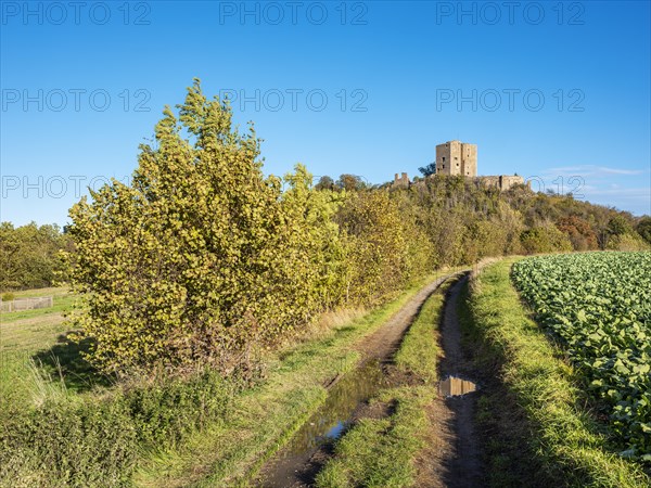 Landscape with field path in autumn, behind the ruins of Arnstein Castle, Sylda-Harkerode,