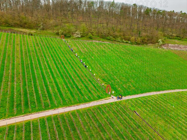 A group of people stand by an art installation in a vineyard, Jesus Grace Chruch, Weitblickweg,