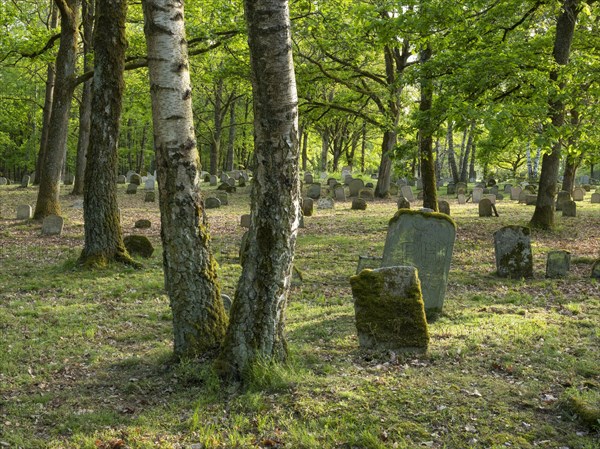 Old Jewish cemetery on the Judenhuegel near Kleinbardorf, municipality of Sulzfeld, Hassberge,