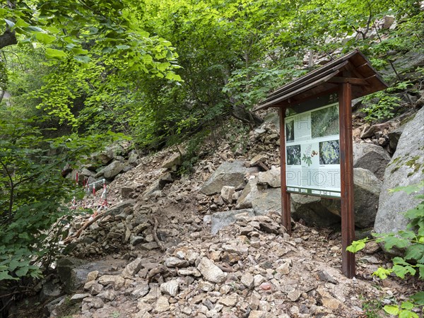 Landslide, mudflow, landslide, rockfall, buried hiking trail in the Bode Valley between Thale and