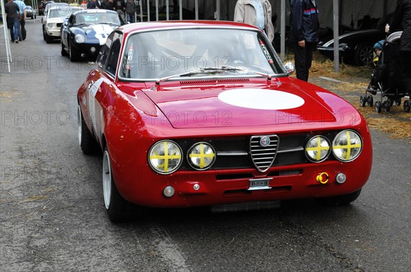 An Alfa Romeo classic car in racing livery with starting number on the side, SOLITUDE REVIVAL 2011,