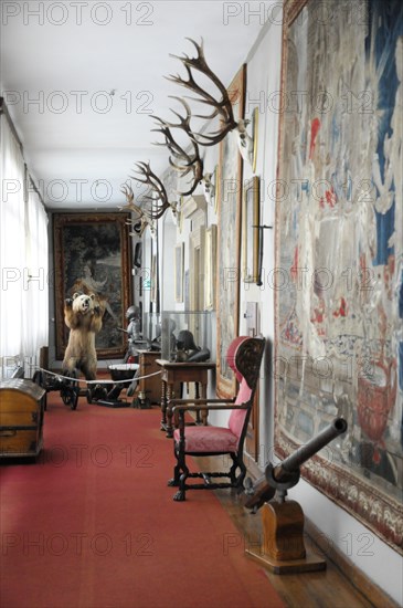 Langenburg Castle, view of a corridor with historical artefacts and hunting trophies on the walls,
