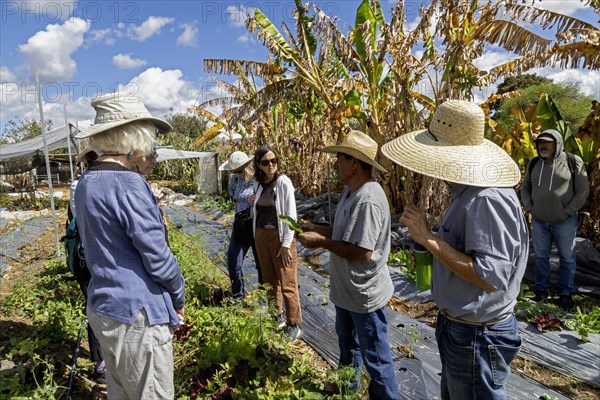 San Pablo Huitzo, Oaxaca, Mexico, Farmers are part of a cooperative that uses agroecological