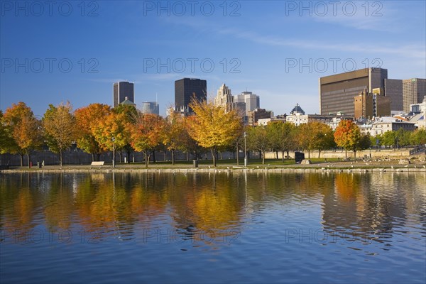 Row of Acer, Maple trees with orange and yellow leaves and Montreal skyline with Aldred, Place