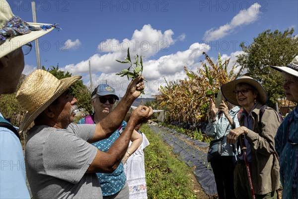 San Pablo Huitzo, Oaxaca, Mexico, Farmers are part of a cooperative that uses agroecological