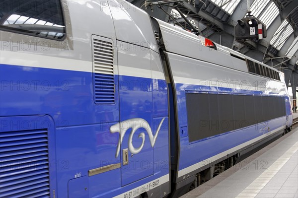 TGV at Marseille-Saint-Charles station, Marseille, A modern TGV high-speed train at the station,