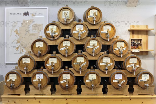 Wuerzburg, row of whisky casks with labels in a distilling environment, Wuerzburg, Lower Franconia,