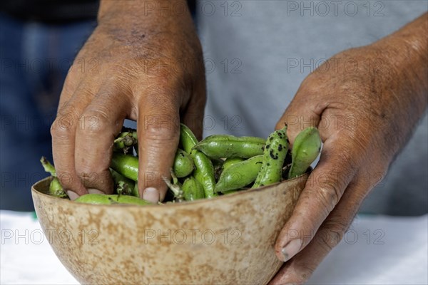 San Pablo Huitzo, Oaxaca, Mexico, Farmers are part of a cooperative that uses agroecological