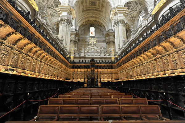 Jaen, Catedral de Jaen, Cathedral of Jaen from the 13th century, Renaissance art epoch, Jaen,