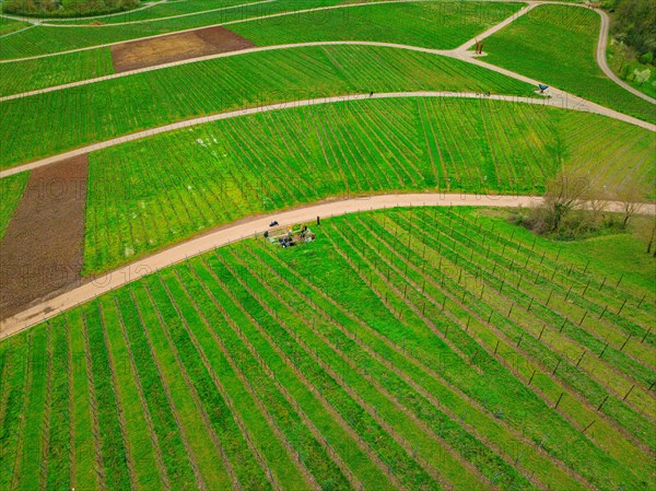 People at a crossroads in a vineyard with a view of a village in the background, Jesus Grace