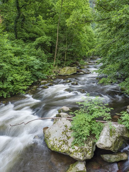 The River Bode with rapids and boulders in the Bode Valley between Thale and Treseburg, Harz