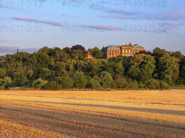 View over stubble field to Burgscheidungen Castle in the evening light, Unstruttal,